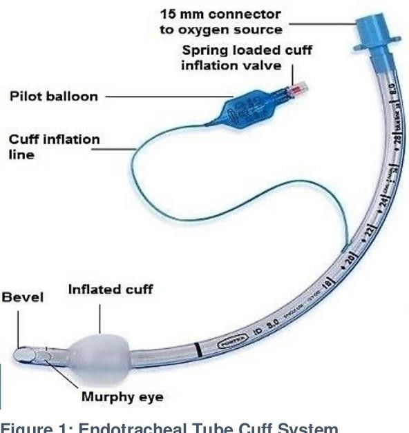 Standard Endotracheal Tube Cuffed High Volume Available With Magil Type DEHP-FREE Material