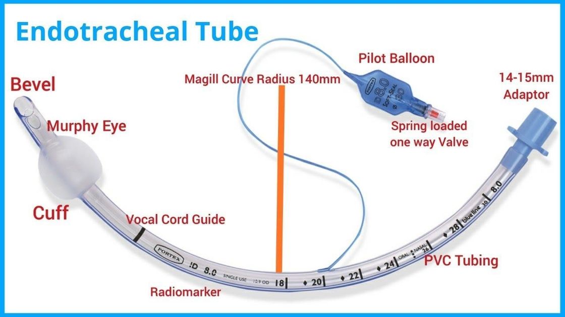 Standard Endotracheal Tube Cuffed High Volume Available With Magil Type DEHP-FREE Material
